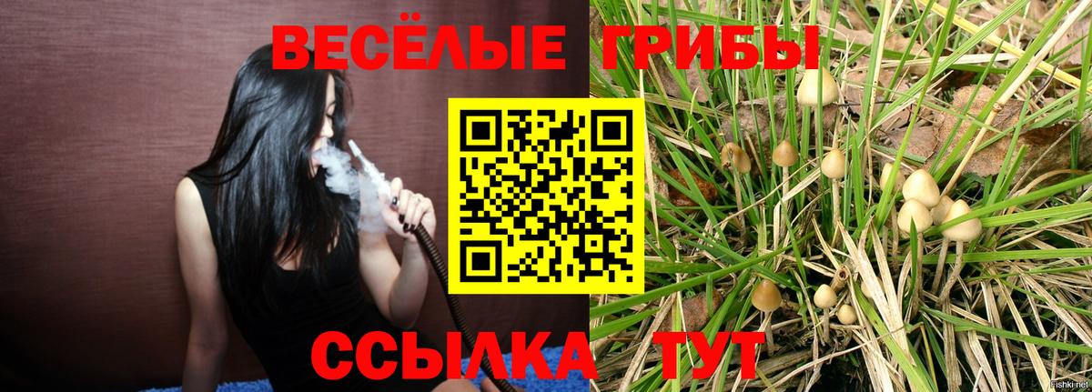 закладка  Вход с VPN  Красноармейск  Псилоцибиновые грибы мицелий 
